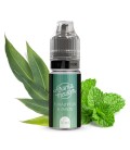 Aromameister Eukalyptus & Minze Aroma 10ml